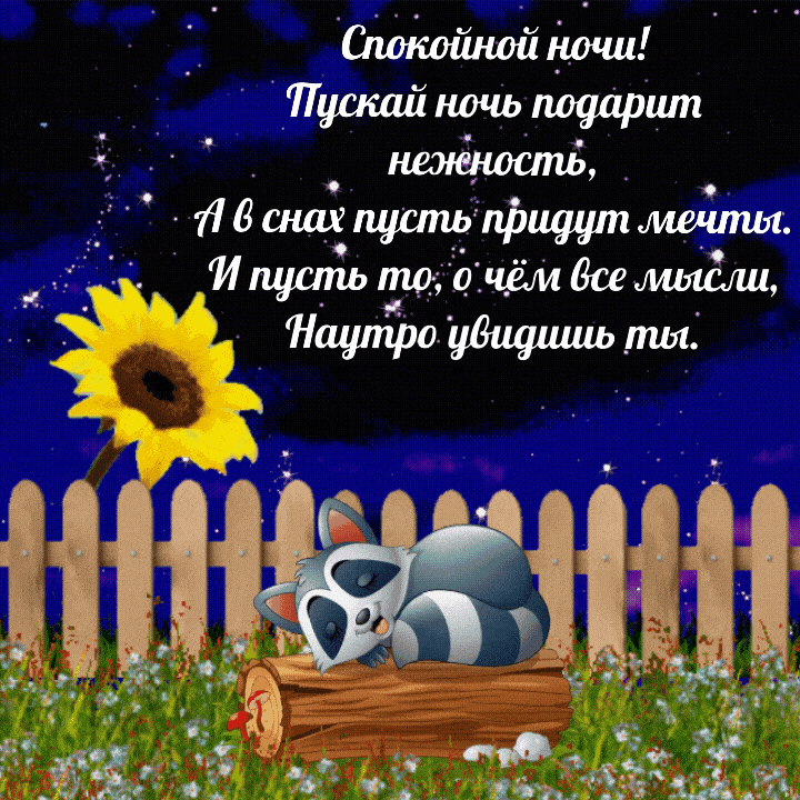 Открытка «Спокойной ночи»: Спокойной ночи: «Милый енот» спит у забора. Тэги: Спокойной ночи, красивые, Спокойной ночи…