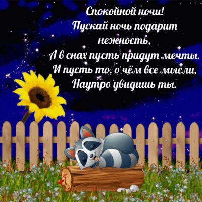 Открытка «Спокойной ночи»: Спокойной ночи: «Милый енот» спит у забора. Тэги: Спокойной ночи, красивые, Спокойной ночи…