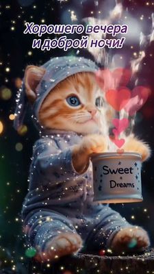 Открытка «Доброй ночи»: Добрый вечер: «Хорошего вечера и доброй ночи!». Тэги: Добрый вечер и пожелания, Добрый вечер…