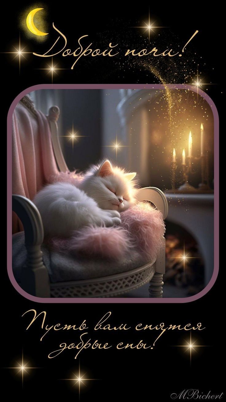 Открытка «Доброй ночи»: Доброй ночи: милый кот и волшебные сны.