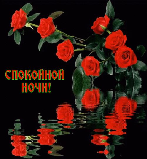 Открытка «Доброй ночи»: Спокойной ночи: Красные розы и их отражение. Тэги: Спокойной ночи, Спокойной ночи, красивые…