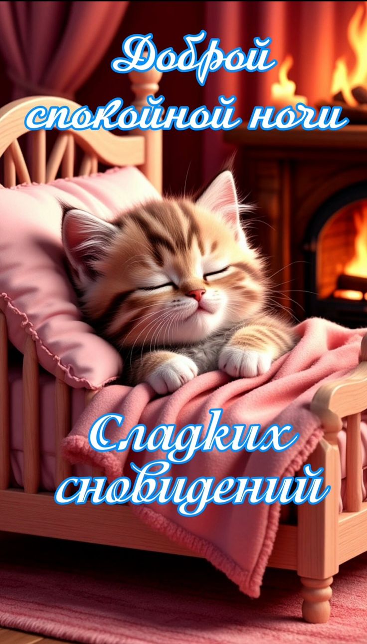 Открытка «Доброй ночи»: Доброй ночи: Сладких сновидений с милым котенком.