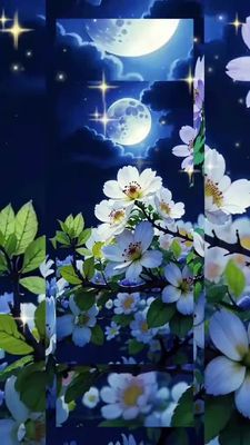 Открытка «Доброй ночи»: Доброй ночи: Звездное небо и белые цветы.