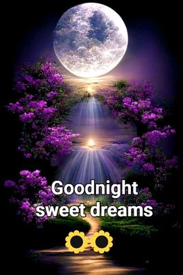 Открытка «Доброй ночи»: Пожелание доброй ночи: лунная тропинка и цветы.