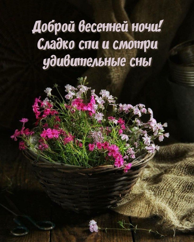 Открытка «Доброй ночи»: Доброй весенней ночи: корзина нежных цветов.