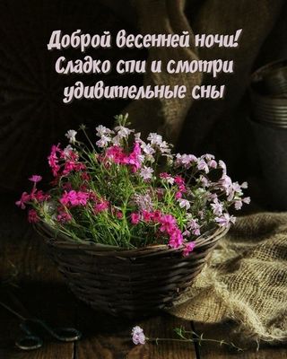Открытка «Доброй ночи»: Доброй весенней ночи: корзина нежных цветов.