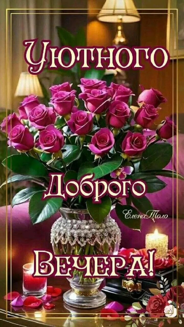 Открытка «Добрый вечер и пожелания»: Открытка «Уютного доброго вечера» с красивыми розами. Тэги: Добрый вечер красивые…