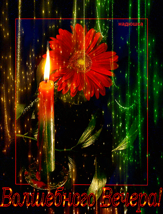 Открытка «Добрый вечер и пожелания»: Добрый вечер: волшебная открытка с цветком. Тэги: Добрый вечер красивые, Добыий…