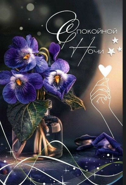 Открытка «Спокойной ночи»: Спокойной ночи: «Нежные фиалки» в бутылке. Тэги: Спокойной ночи, красивые, Спокойной ночи…