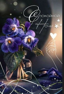 Открытка «Спокойной ночи»: Спокойной ночи: «Нежные фиалки» в бутылке. Тэги: пожелание, сердце, красивый, нежный…