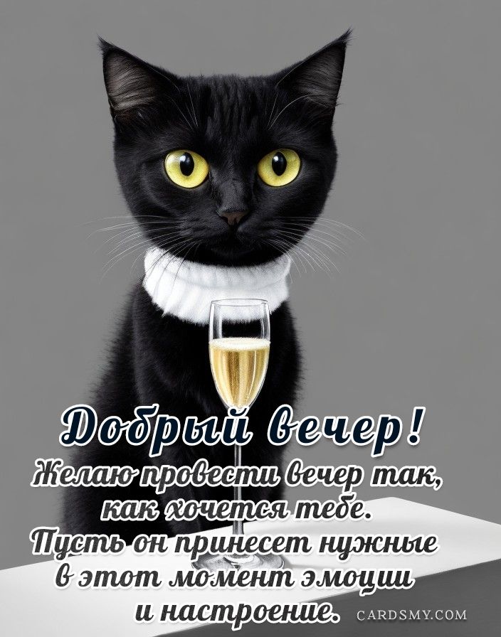 Открытка «Добрый вечер и пожелания»: Добрый вечер: Стильный кот с бокалом для отличного настроения. Тэги: Добрый вече…
