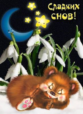 Открытка «Доброй ночи»: Доброй ночи: Милый медвежонок среди подснежников.