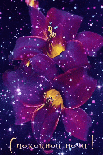 Открытка «Спокойной ночи»: Спокойной ночи: фиолетовые лилии на звездном фоне. Тэги: Спокойной ночи, красивые, Спокойн…
