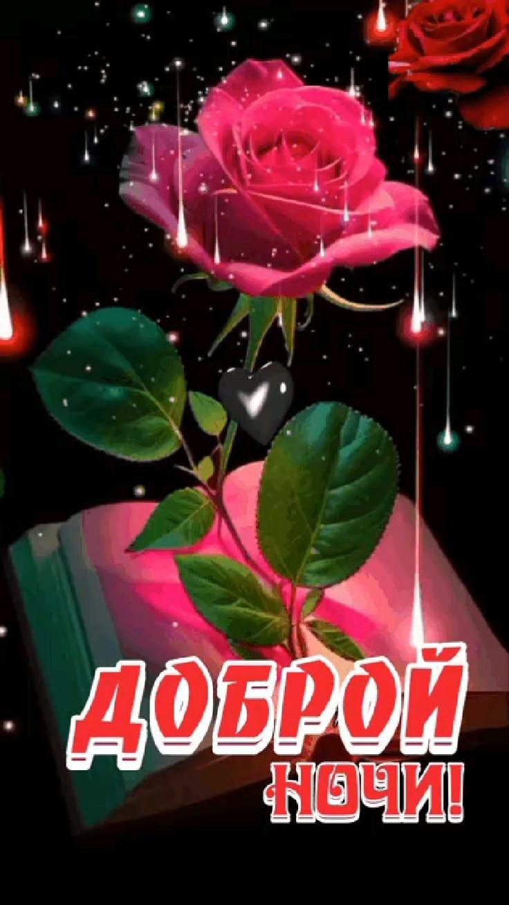 Открытка «Доброй ночи»: Доброй ночи: Красная роза на страницах книги.