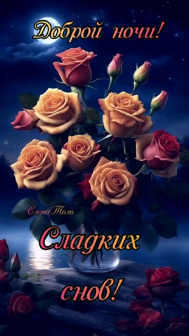 Открытка «Доброй ночи»: Доброй ночи: Красивый букет роз под луной.