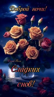 Открытка «Доброй ночи»: Доброй ночи: Красивый букет роз под луной.