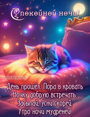 Открытка «Спокойной ночи»: Спокойной ночи: «Милый котенок на подушке». Тэги: Спокойной ночи, красивые, Спокойной ночи…