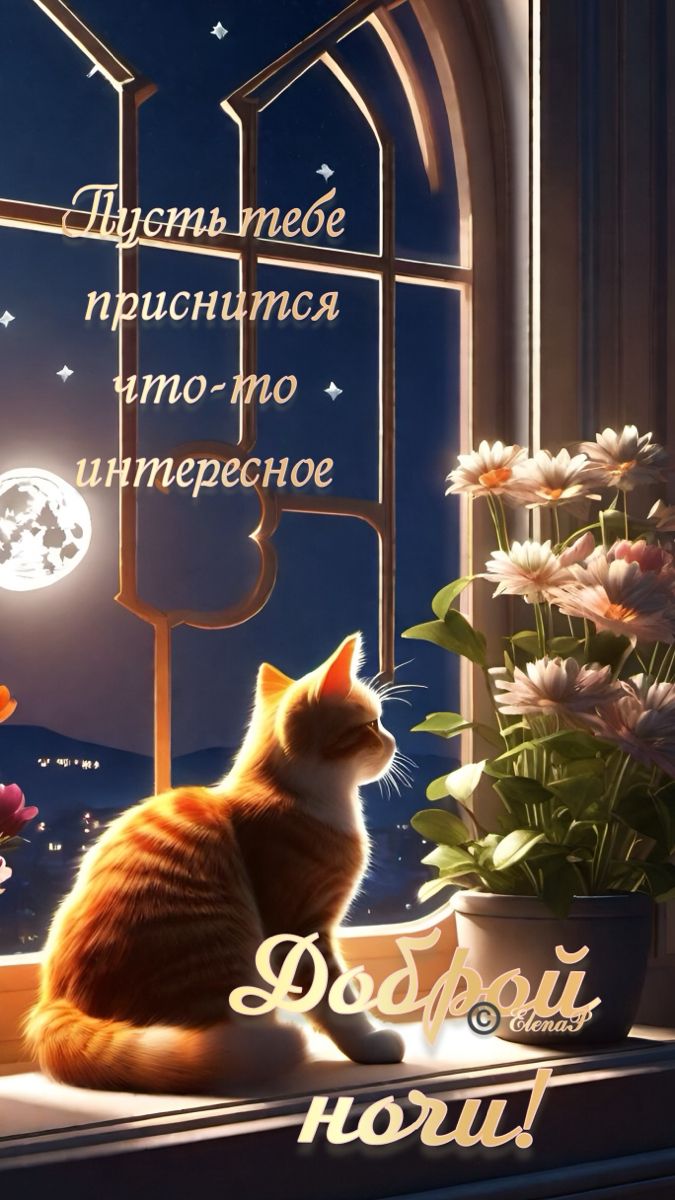 Открытка «Доброй ночи»: Доброй ночи: «Пусть тебе приснится что-то интересное».