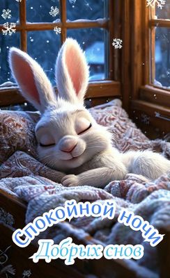 Открытка «Доброй ночи»: Спокойной ночи: спящий кролик в уютном пледе.