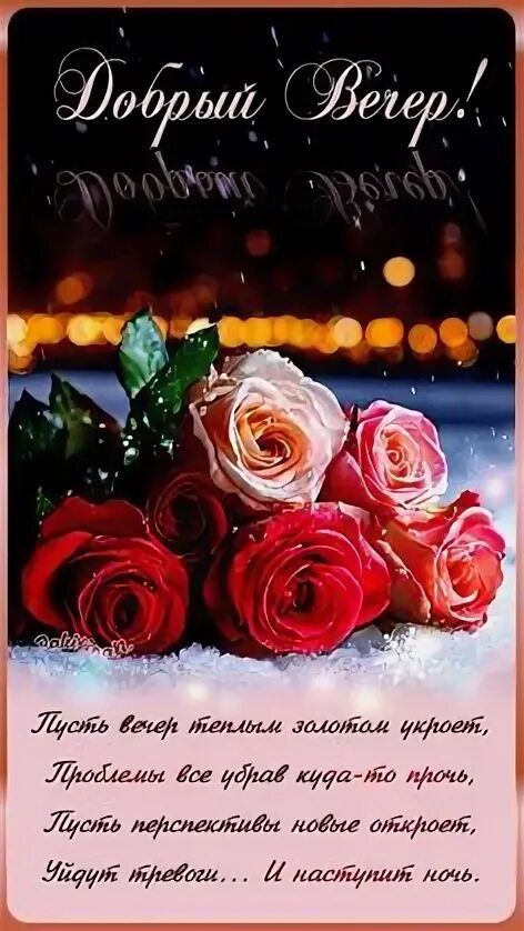 Открытка «Добрый вечер и пожелания»: Красивое пожелание «Добрый вечер» с букетом роз. Тэги: Добрый вечер красивые…