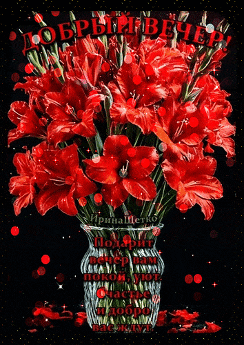 Открытка «Добрый вечер и пожелания»: Добрый вечер: красивый букет красных гладиолусов. Тэги: Добрый вечер красивые…