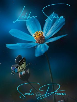 Открытка «Доброй ночи»: Доброй ночи: Красивая открытка «Сладких снов».