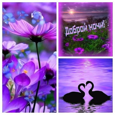 Открытка «Доброй ночи»: Доброй ночи: романтическая открытка с лебедями.