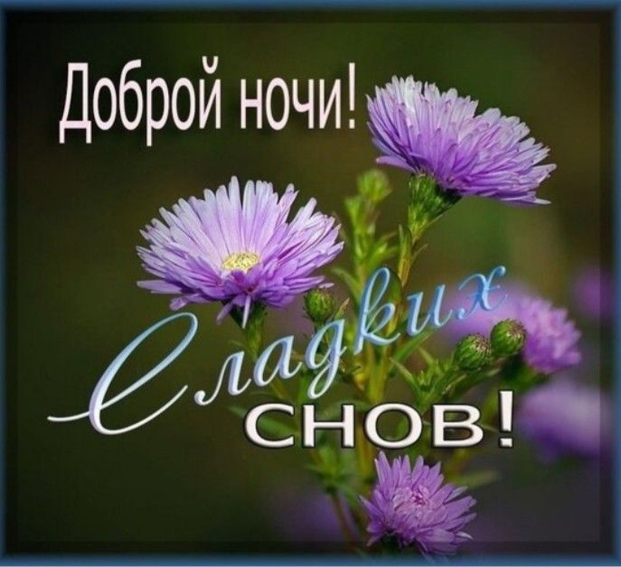Открытка «Доброй ночи»: Доброй ночи: нежный букет фиолетовых астр.