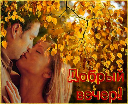 Открытка «Добрый вечер и пожелания»: Добрый вечер: влюбленная пара на фоне осени. Тэги: Добрый вечер красивые, Добрый…