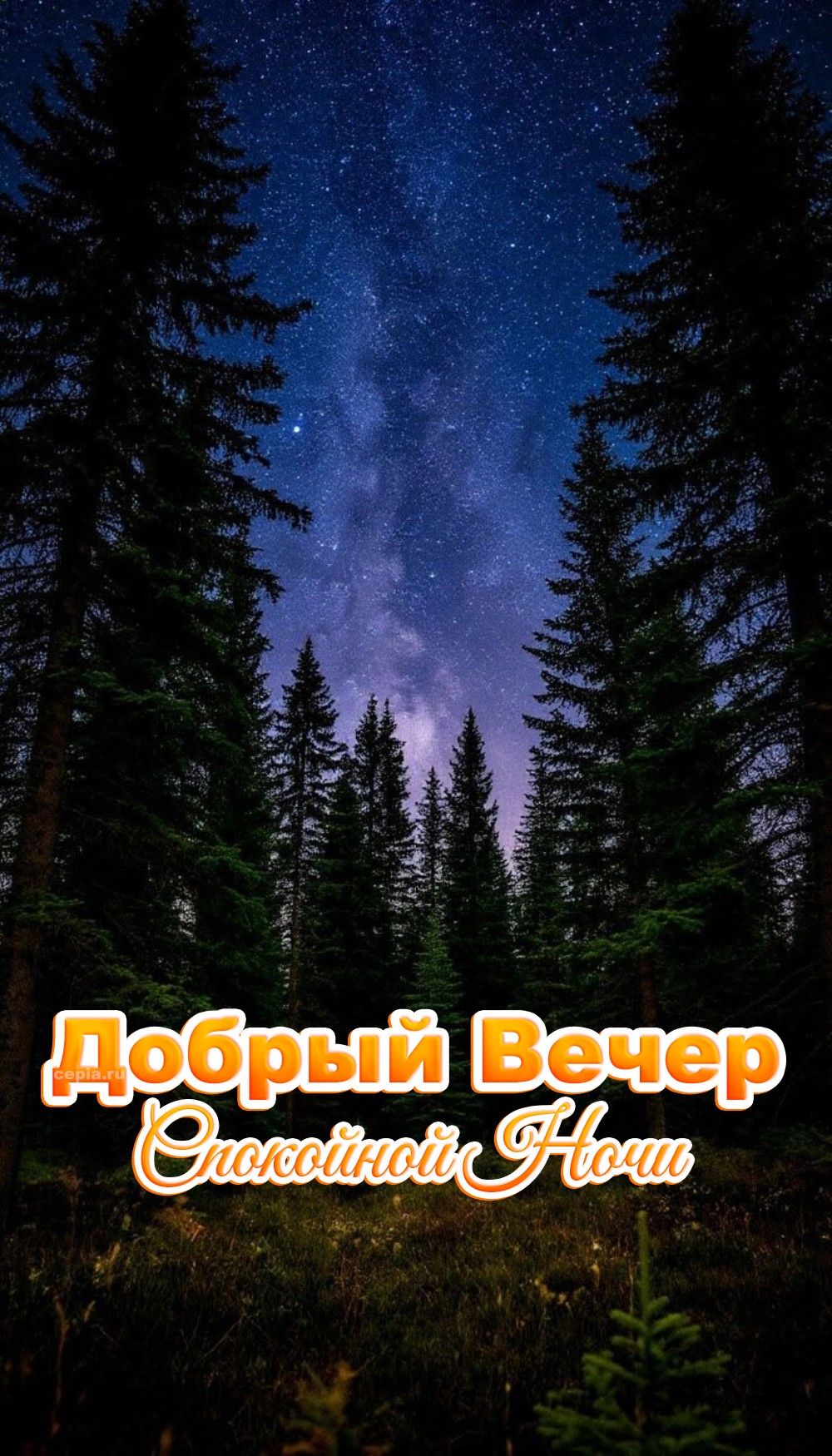 Открытка «Спокойной ночи»: Спокойной ночи и добрый вечер: звездное небо над лесом. Тэги: Спокойной ночи, красивые…