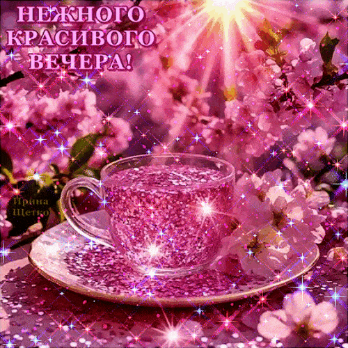 Открытка «Пожелание»: Добрый вечер: «Нежного красивого вечера» с цветами. Тэги: радость, позитивный, чай, чашка…