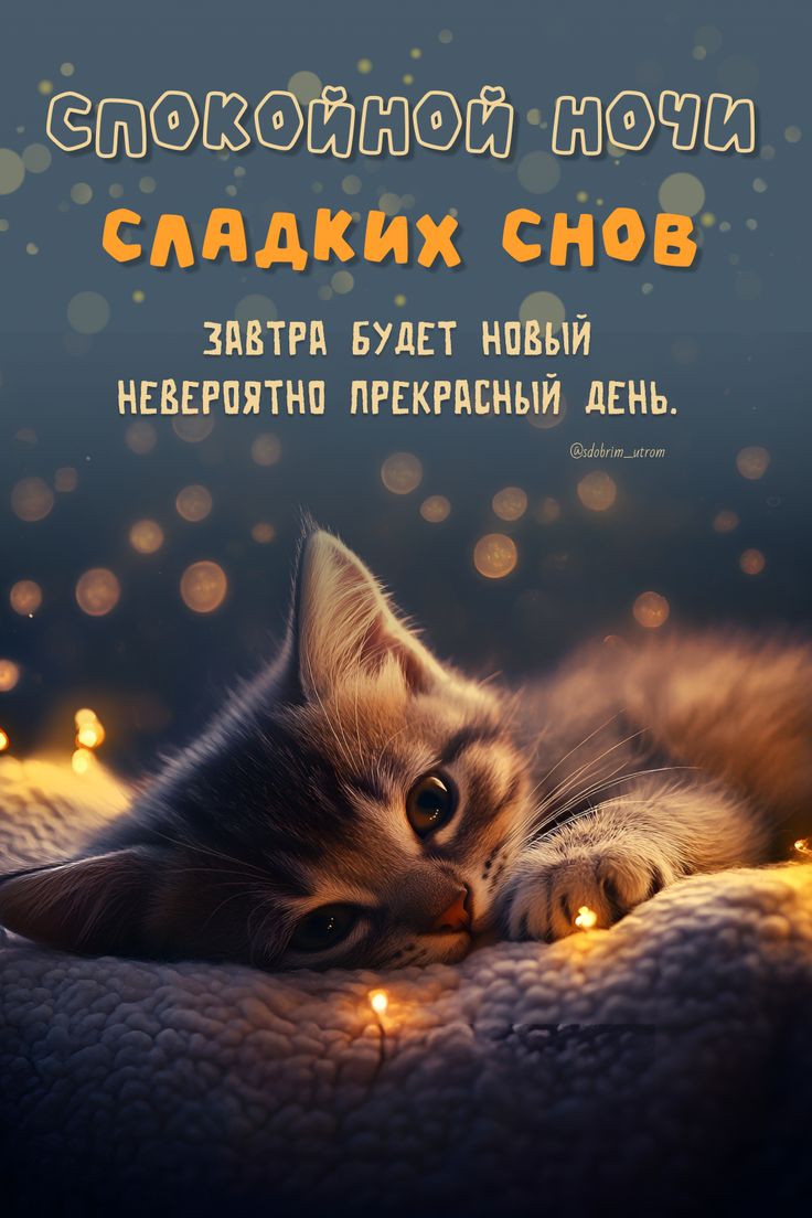 Открытка «Спокойной ночи»: Спокойной ночи: Милый котенок и пожелание прекрасного дня. Тэги: Спокойной ночи, красивые…