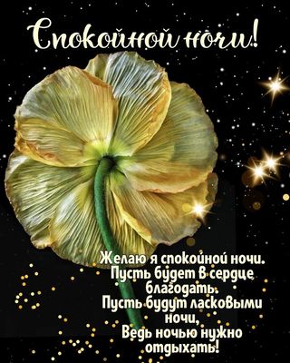 Открытка «Доброй ночи»: Спокойной ночи: «Нежный цветок» и сияющие звезды. Тэги: Спокойной ночи, Спокойной ночи…