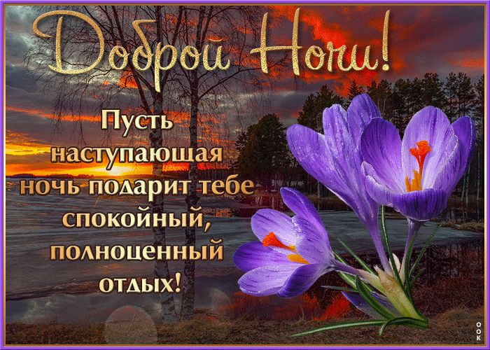 Открытка «Доброй ночи»: Доброй ночи. Пожелание спокойного отдыха. Тэги: пожелание, красивый, отдых, цветок, природа…