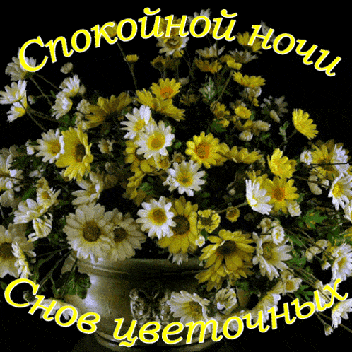 Открытка «Спокойной ночи»: Спокойной ночи: «Снов цветочных» с ромашками. Тэги: Спокойной ночи, красивые, Спокойной но…
