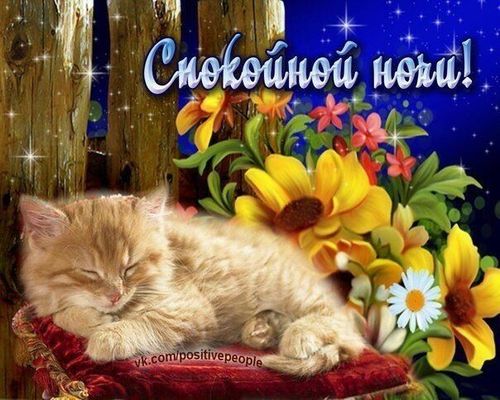 Открытка «Спокойной ночи»: Спокойной ночи: Милый рыжий кот спит среди цветов. Тэги: Спокойной ночи, с пожеланиями…