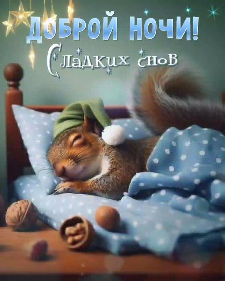 Открытка «Доброй ночи»: Доброй ночи! Сладких снов с милой белкой.
