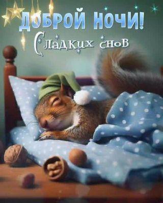 Открытка «Доброй ночи»: Доброй ночи! Сладких снов с милой белкой.