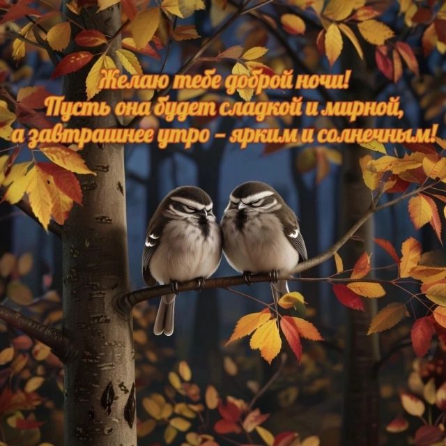 Открытка «Доброй ночи»: Доброй ночи: красивое пожелание на фоне осени.