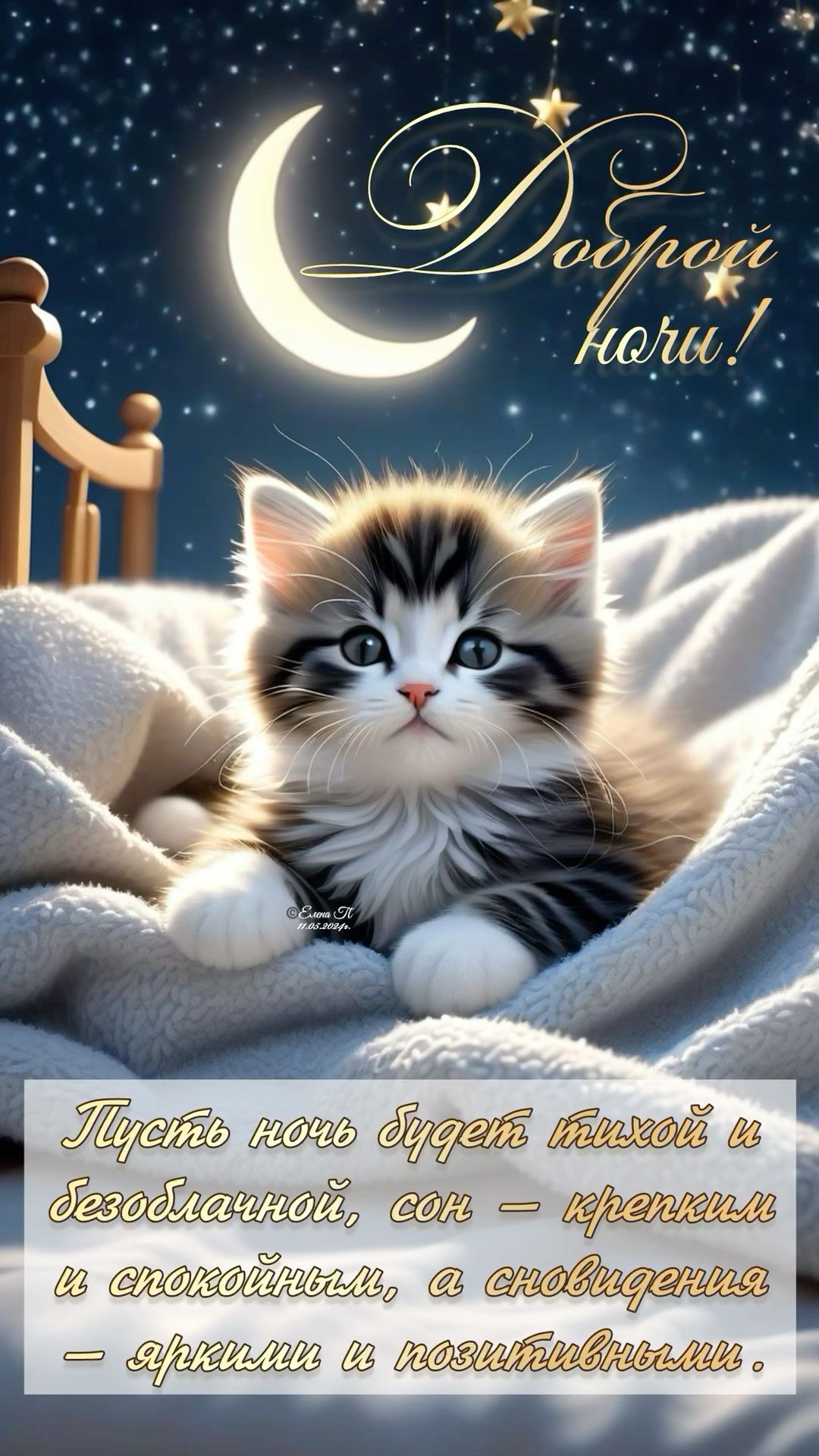 Открытка «Доброй ночи»: Доброй ночи: Милый кот пожелает сладких снов. Тэги: пожелание, позитивный, кот, милый, животн…