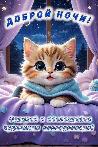 Открытка «Доброй ночи»: Доброй ночи: милый кот под одеялом.