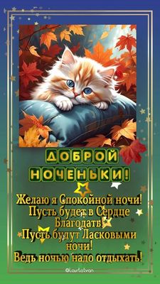 Открытка «Доброй ночи»: Доброй ночи: Милый рыжий кот в осенних листьях.