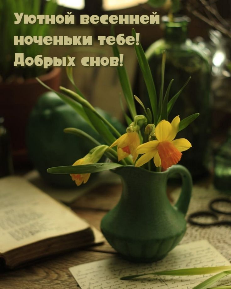 Открытка «Доброй ночи»: Доброй ночи: «Уютная весенняя открытка» с нарциссами. Тэги: Спокойной ночи, Спокойной ночи…