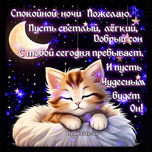 Открытка «Спокойной ночи»: Спокойной ночи: милая открытка со спящим котом. Тэги: пожелание, кот, надпись, рисунок…