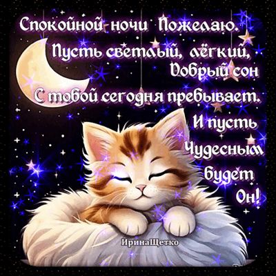 Открытка «Спокойной ночи»: Спокойной ночи: милая открытка со спящим котом. Тэги: пожелание, кот, надпись, рисунок…