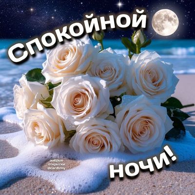 Открытка «Спокойной ночи»: Спокойной ночи: белые розы и полная луна. Тэги: Спокойной ночи, красивые, Спокойной ночи…