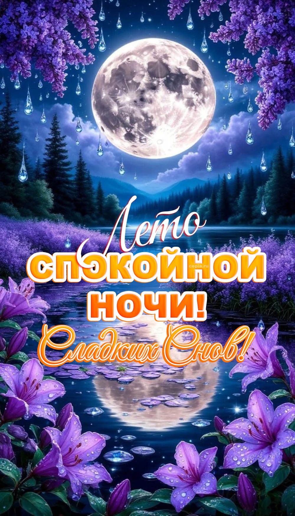 Открытка «Спокойной ночи»: Спокойной ночи: Летняя открытка с луной и цветами. Тэги: пожелание, надпись, лето, красивый…