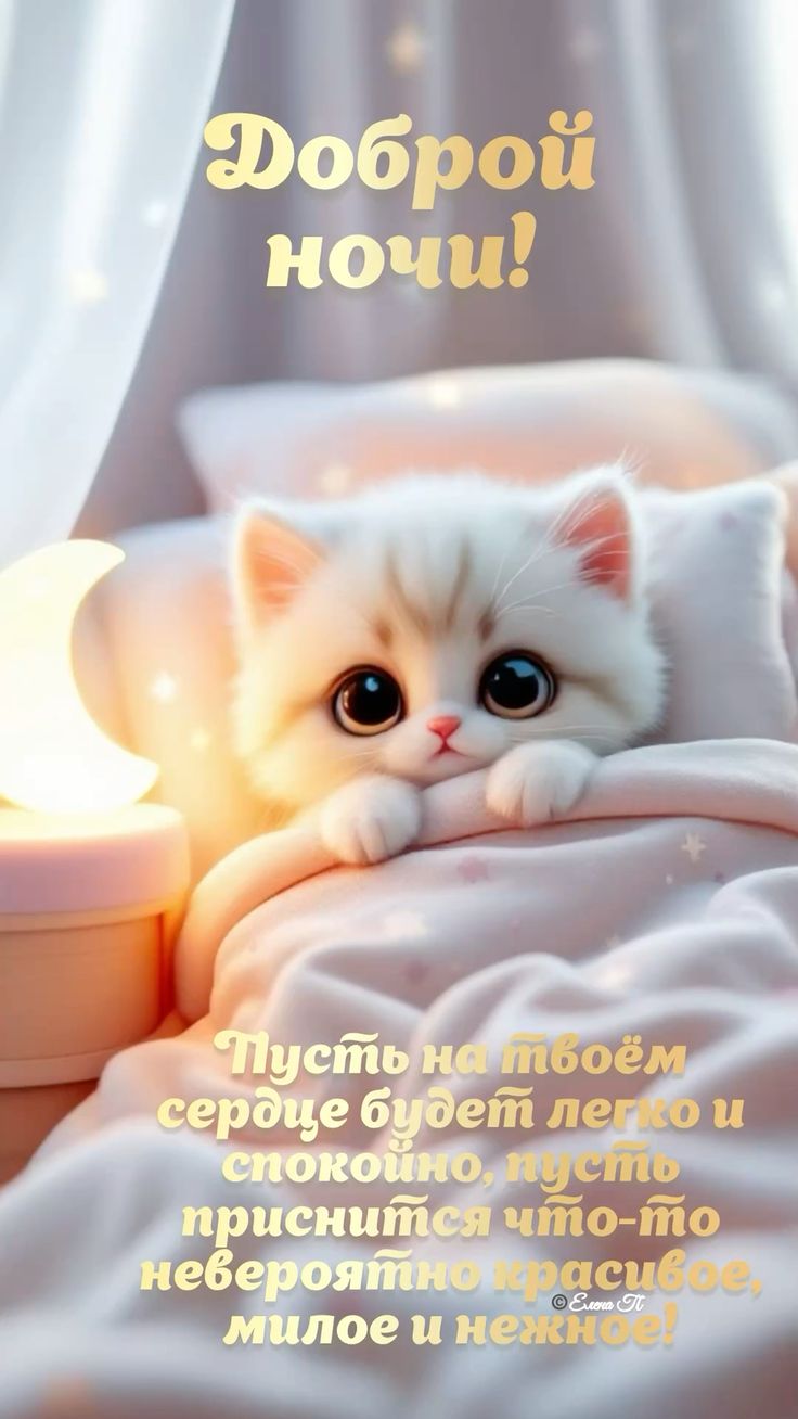 Открытка «Доброй ночи»: Доброй ночи: милый белый котенок в кроватке.