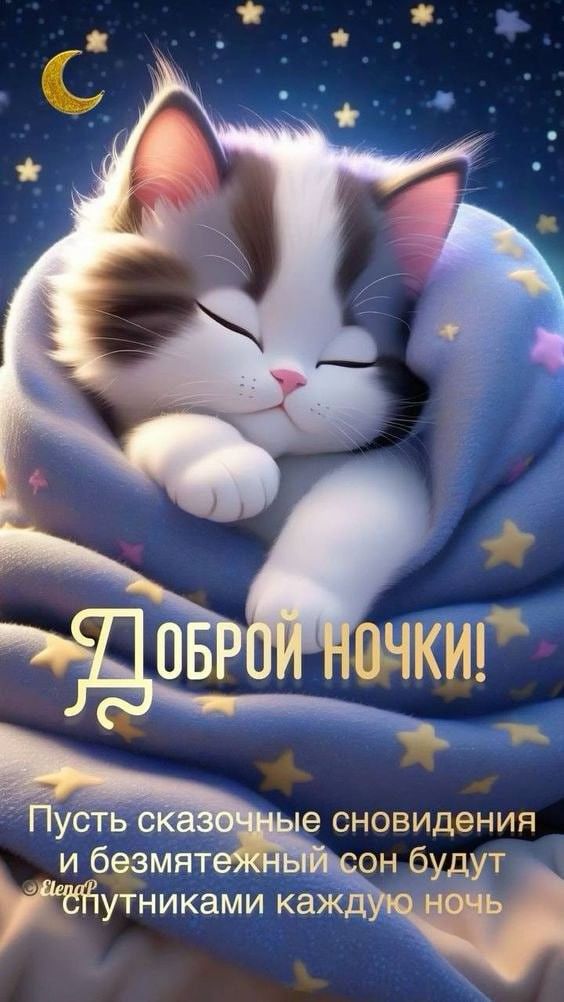 Открытка «Доброй ночи»: Доброй ночи: трогательное пожелание от спящего котенка.