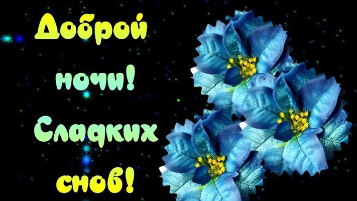 Открытка «Доброй ночи»: Доброй ночи: открытка с синими цветами. Тэги: Спокойной ночи, Спокойной ночи, красивые…